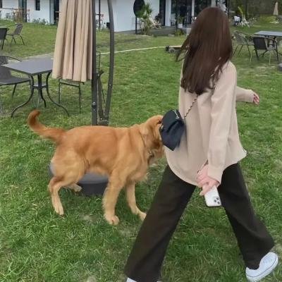 美丽·错误